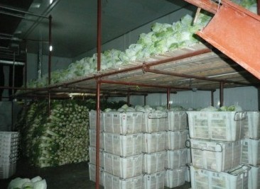 杭州食品冷庫 水產(chǎn)品冷鏈安全的守護(hù)者